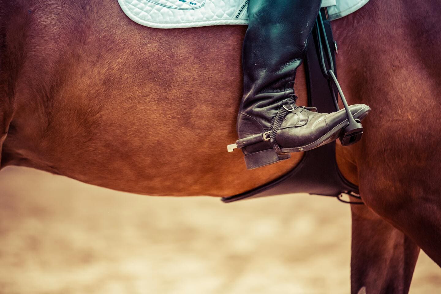 test equitation